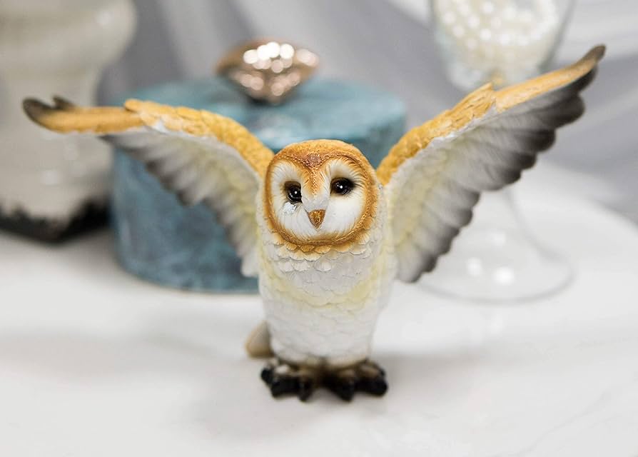 フクロウの剥製 Amazon.co.jp: フクロウ 剥製 台座付き W150×D150×H310mm 立木台